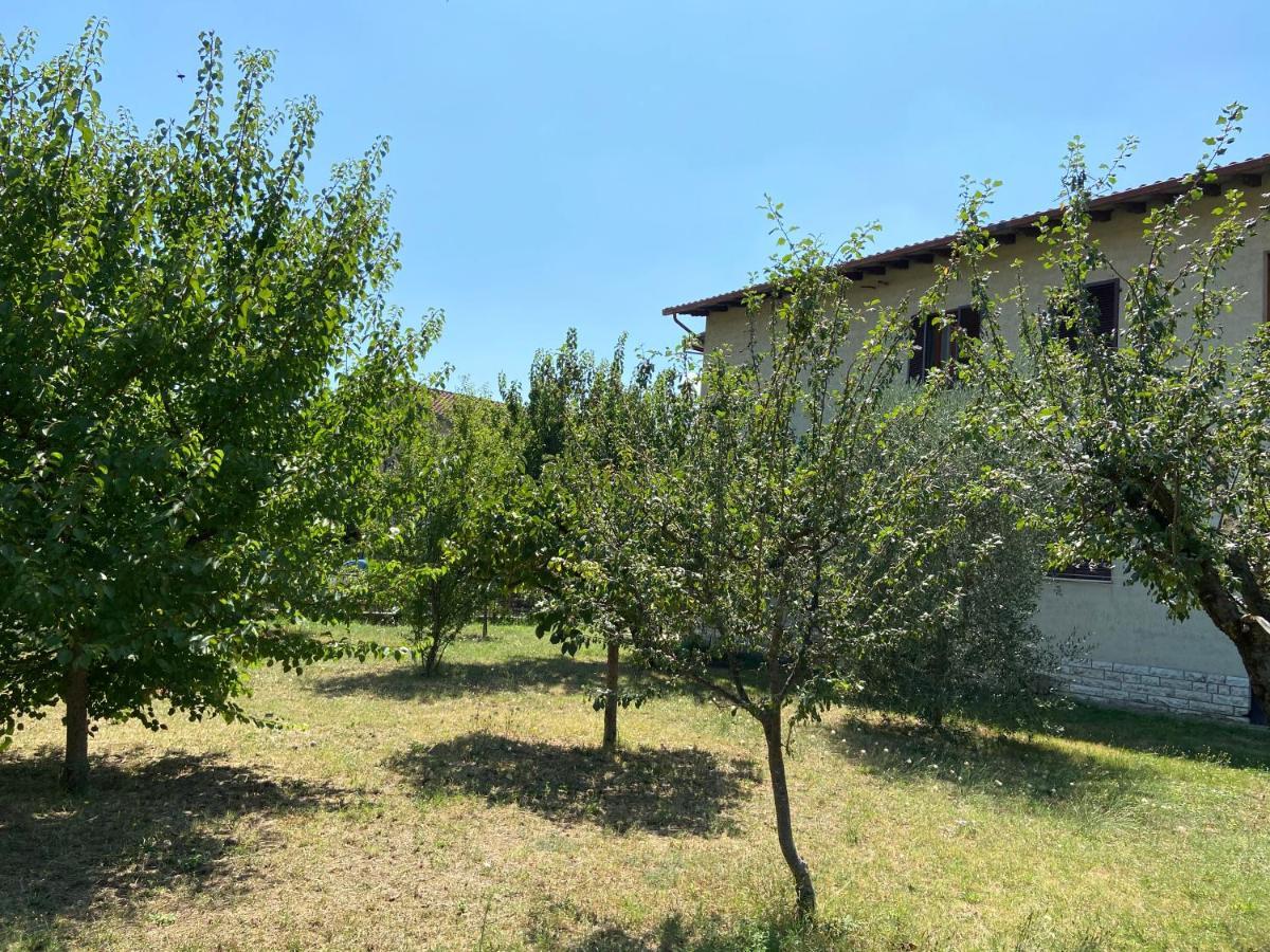 La Casa Sul Trasimeno Villa Кастильоне дел Лаго Екстериор снимка